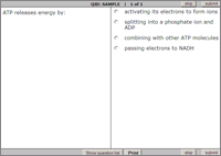 Biology Interactive Exercises