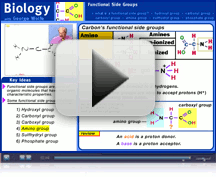 Biology compatible with AP* Video lessons